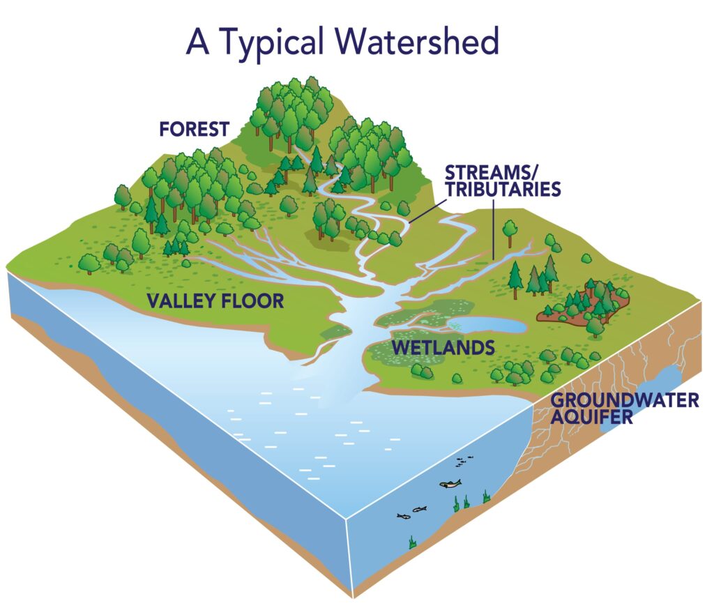 watershed diagram