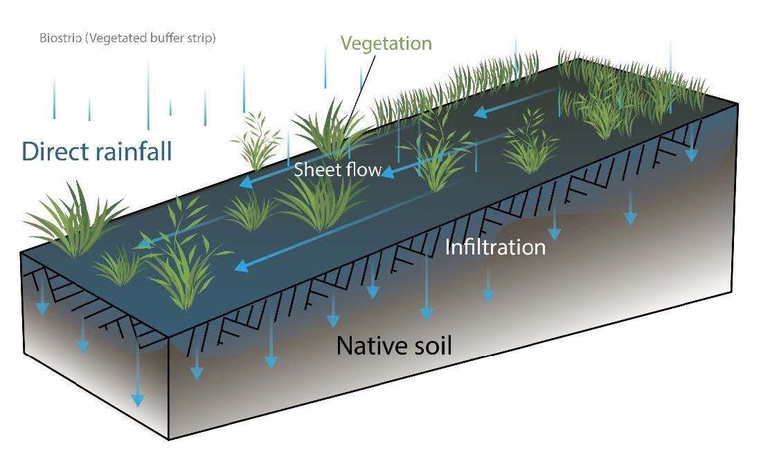 Backyard Stormwater Management – BCCD